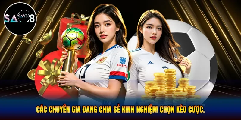 Các chuyên gia đang chia sẻ kinh nghiệm chọn kèo cược
