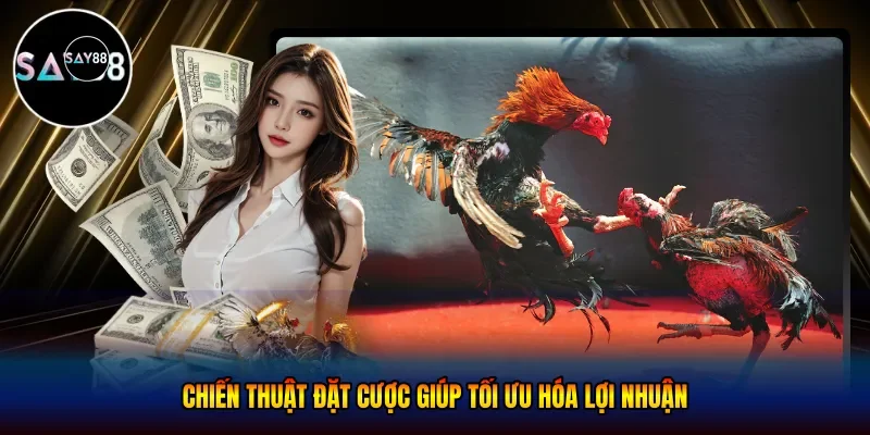 Chiến thuật đặt cược giúp tối ưu hóa lợi nhuận