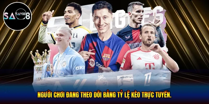  Người chơi đang theo dõi bảng tỷ lệ kèo trực tuyến