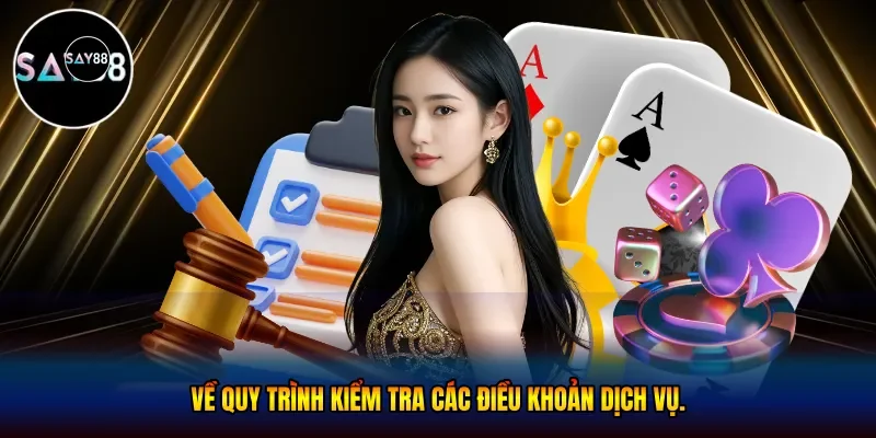 quy trình kiểm tra các điều khoản dịch vụ